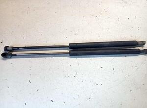 Gas Spring VOLVO V50 (545)