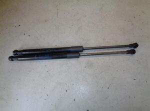 Gas Spring RENAULT TWINGO II (CN0_)