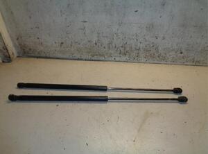 Gas Spring FORD FOCUS C-MAX (DM2), FORD C-MAX (DM2)