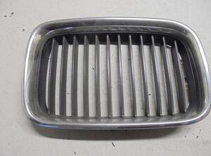 Radiateurgrille BMW 3 Touring (E46)