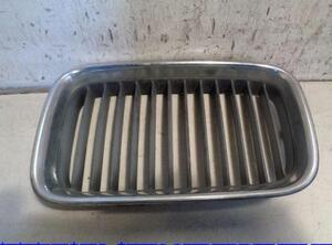 Radiator Grille BMW 3 (E36)