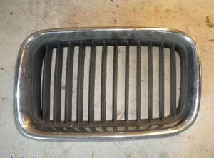 Radiator Grille BMW 3 (E36)