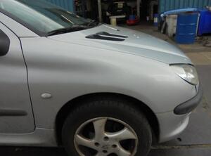 Wing PEUGEOT 206 Hatchback (2A/C), PEUGEOT 206 Saloon