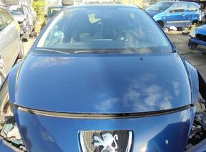 Bonnet PEUGEOT 207 (WA_, WC_), PEUGEOT 207 SW (WK_)