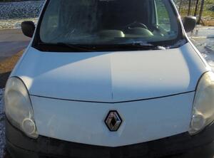 Bonnet RENAULT KANGOO Express (FW0/1_)