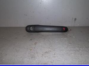 Door Handle VW POLO (6N1)