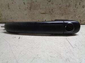 Door Handle VW POLO (6N2)