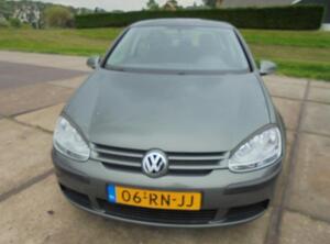 Door Glass VW GOLF V (1K1)