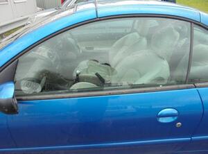 Door Glass PEUGEOT 206 CC (2D)