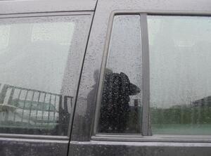 Side Window VW GOLF IV Variant (1J5)