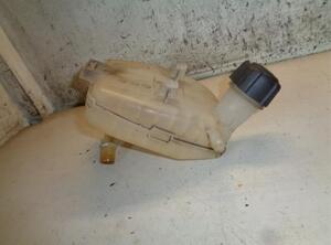 Coolant Expansion Tank RENAULT TWINGO II (CN0_)