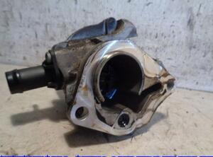 Vacuum Pump RENAULT CLIO III (BR0/1, CR0/1)