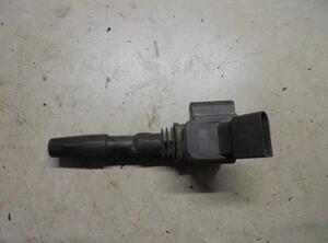 Ignition Coil VW POLO (6R1, 6C1)