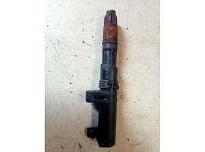 Ignition Coil RENAULT MEGANE III Hatchback (BZ0/1_, B3_)