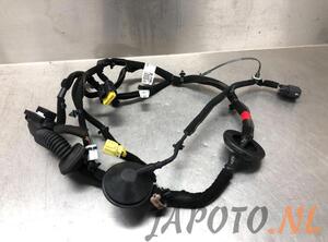 Wiring Harness KIA NIRO I (DE)