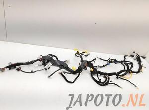 Wiring Harness KIA NIRO I (DE)