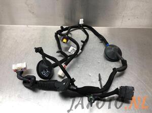 Wiring Harness KIA NIRO I (DE)