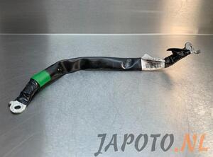 Wiring Harness HYUNDAI i20 (GB, IB), HYUNDAI i20 II Coupe (GB), HYUNDAI i20 ACTIVE (IB, GB)