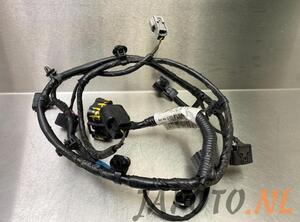 Wiring Harness HYUNDAI i20 (GB, IB), HYUNDAI i20 ACTIVE (IB, GB), HYUNDAI i20 II Coupe (GB)