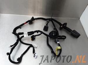 Wiring Harness KIA NIRO I (DE)