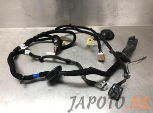 Wiring Harness KIA NIRO I (DE)