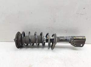 Suspension Strut CHEVROLET CAPTIVA (C100, C140)