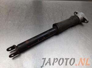 Shock Absorber KIA CARENS III MPV (UN)