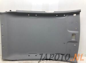 Front Interior Roof Trim Panel HYUNDAI i10 II (BA, IA)