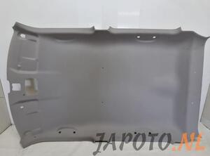 Front Interior Roof Trim Panel SUZUKI SWIFT V (AZ)