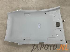 Front Interior Roof Trim Panel KIA RIO III (UB), KIA RIO III Saloon (UB)