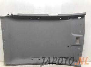 Front Interior Roof Trim Panel HYUNDAI i10 II (BA, IA)