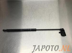 Gas Spring LEXUS IS C (GSE2_)