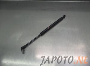 Gas Spring NISSAN MURANO II (Z51), NISSAN MURANO I (Z50)