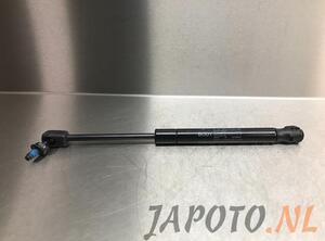 Bootlid (Tailgate) Gas Strut Spring NISSAN QASHQAI / QASHQAI +2 I (J10, NJ10, JJ10E)