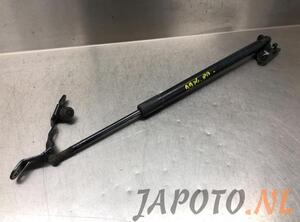 Bootlid (Tailgate) Gas Strut Spring TOYOTA RAV 4 IV (_A4_)