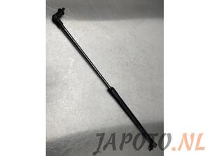 Bootlid (Tailgate) Gas Strut Spring NISSAN QASHQAI II SUV (J11, J11_)