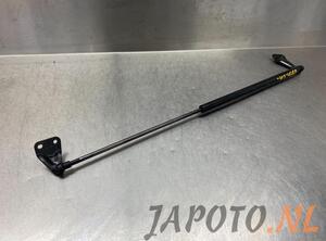 Bootlid (Tailgate) Gas Strut Spring NISSAN JUKE (F15)