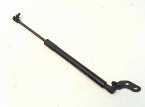 Bootlid (Tailgate) Gas Strut Spring CHEVROLET SPARK (M300)