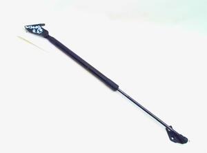 Bootlid (Tailgate) Gas Strut Spring NISSAN QASHQAI / QASHQAI +2 I (J10, NJ10, JJ10E)