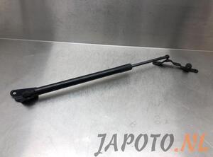 Bootlid (Tailgate) Gas Strut Spring TOYOTA RAV 4 IV (_A4_)