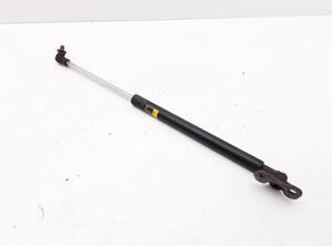 Bootlid (Tailgate) Gas Strut Spring LEXUS CT (ZWA10_)