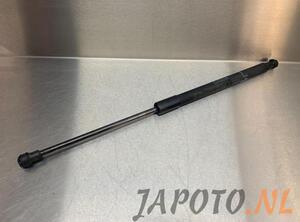 Bootlid (Tailgate) Gas Strut Spring TOYOTA YARIS (_P9_)