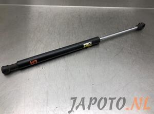 Bootlid (Tailgate) Gas Strut Spring TOYOTA VERSO S (_P12_)