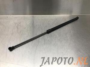 Bootlid (Tailgate) Gas Strut Spring NISSAN QASHQAI II SUV (J11, J11_)