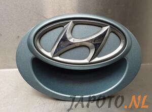 Tailgate Handle HYUNDAI i20 (PB, PBT)