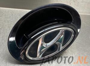 Tailgate Handle HYUNDAI i20 (PB, PBT)