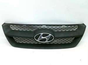 Radiator Grille HYUNDAI SONATA V (NF)