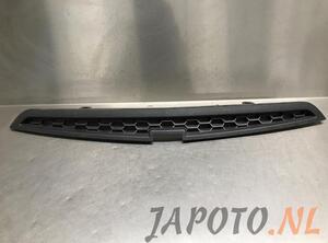 Radiator Grille CHEVROLET SPARK (M300)