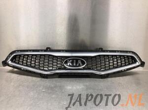 
Grill von einem Kia Picanto (ABB)
