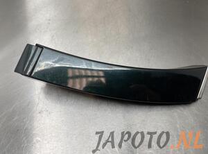 Trim Strip Mudguard LEXUS GS (_S16_)